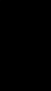 SITRAK