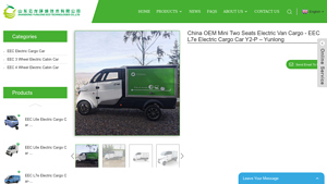 Yunlong - China OEM Mini Two Seats Electric Van Cargo