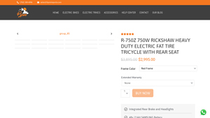 BPM Imports - R-750Z 750W Rickshaw Electric Fat Tire Tricycle