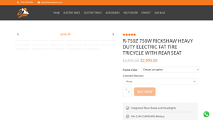 BPM Imports - R-750Z Electric Fat Tire Tricycle