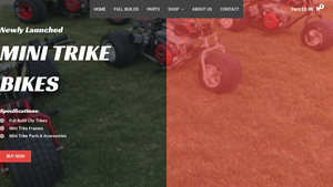 City Mini Trikes - Mini Trike Bikes