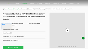 CTS Battery - Professional EV Battery