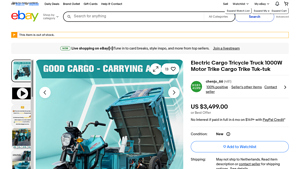 Electric Cargo - 1000W Tricycle Truck