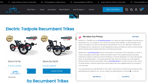 Electric Trike - Electric Tadpole Recumbent Trikes