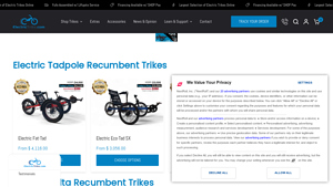 Electric Trike - Electric Tadpole Recumbent Trikes