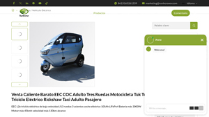 Runhorse - Electric Tricycle Rickshaw