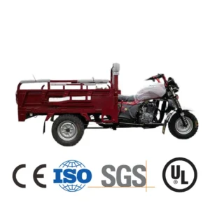 A stock image illustrating gasoline tricycle 500cc concepts