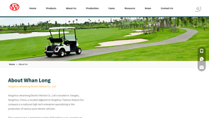 Golf Cart - Electric Vehicles and Styles