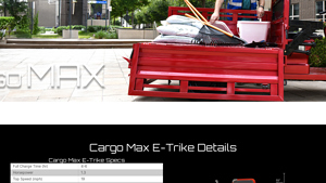 Massimo Electric - Cargo Max E-Trike