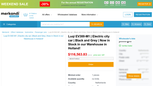 Luqi - EV300-M1 Electric City Car