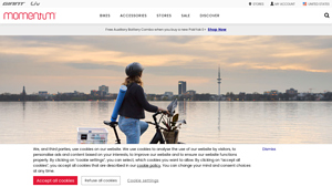 Momentum - Compakt E+ Cargo E-Bike