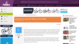 Pedelecs - Electric Cargo Trike