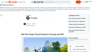 Cargo Electric Tricycle - Market Concerns and Legal Issues