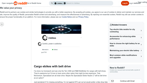 Reddit - Tern GSD, Riese & Muller Multitinker