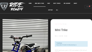 Rider Rowdy - Mini Trike