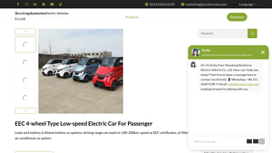 Run Horse - EEC 4-Wheel Low-Speed Electric Car