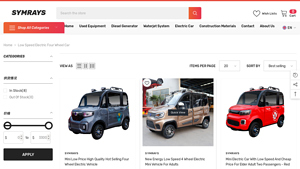 SymRays - Mini Low Price High Quality Electric Vehicle