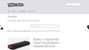 Panasonic - 36V 10 AH Lithium Ion Battery