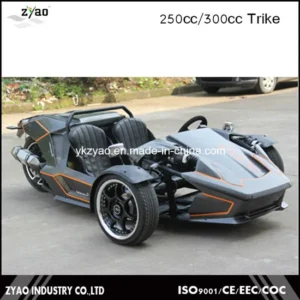 A stock image illustrating trike coc roadster concepts
