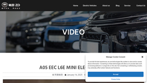 ZHIDOU - A05 EEC L6E Mini Electric Car