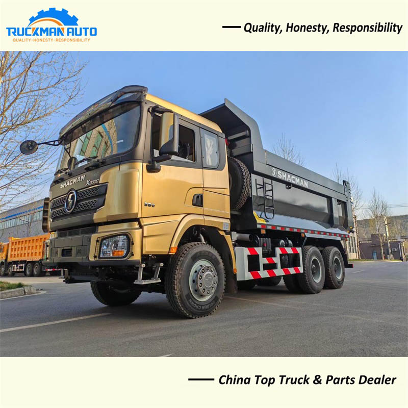 10 Tires 8x4 Tipper Truck